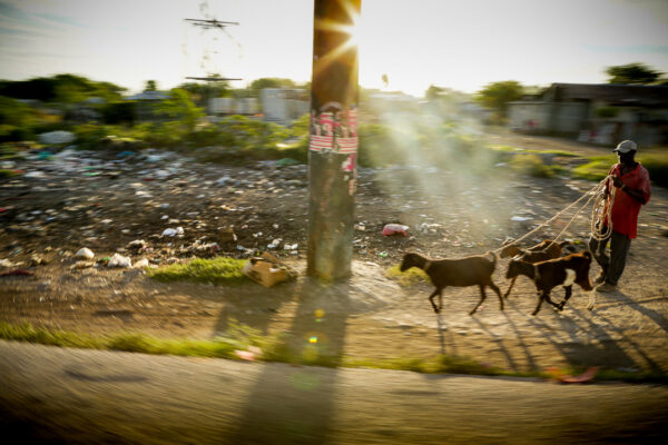 The Way to the Market