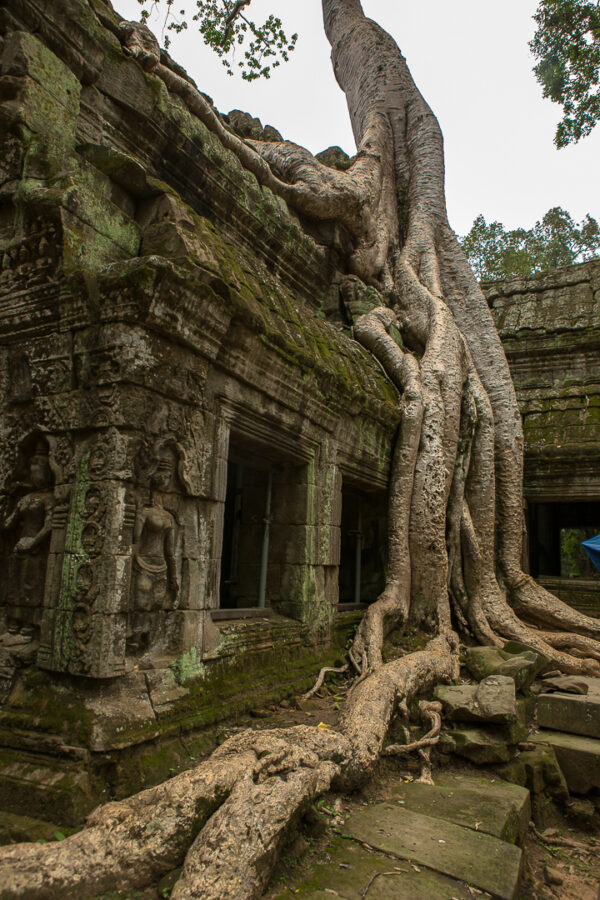 Angkor Wat 2