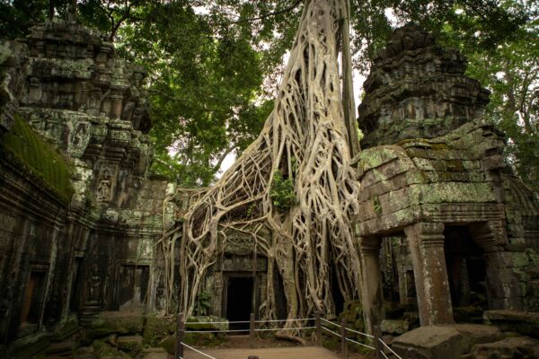 Angkor Wat 2-2946
